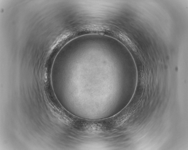 X0000088160731200705151117