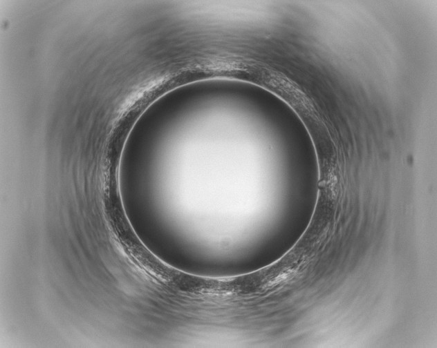 X0000088160732200705151117