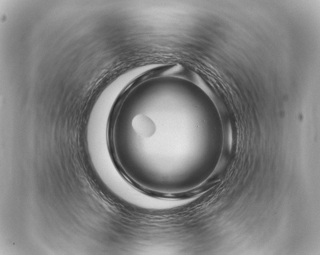 X0000088160750200705151117