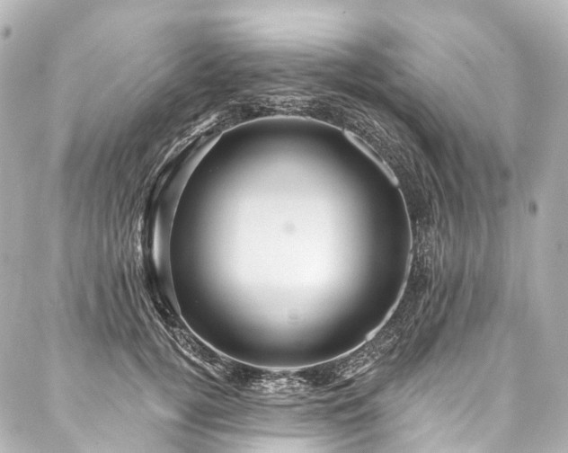 X0000088160752200705151117