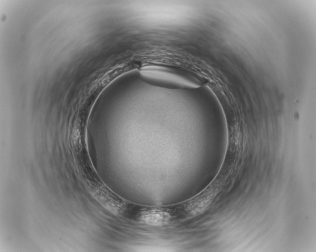 X0000088160754200705151117