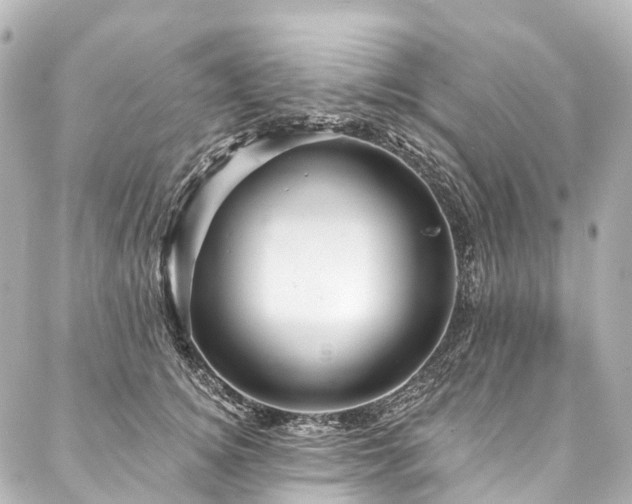 X0000088160756200705151117