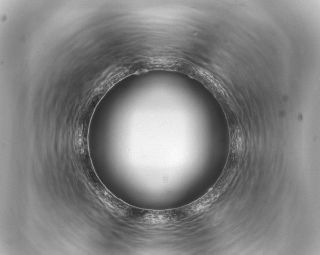 X0000088160764200705151117
