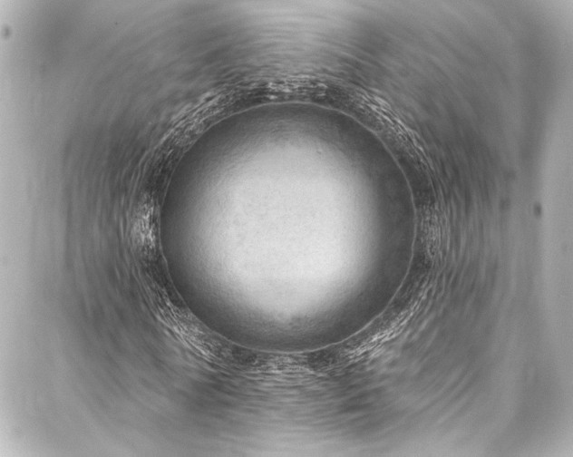 X0000088160770200705151117