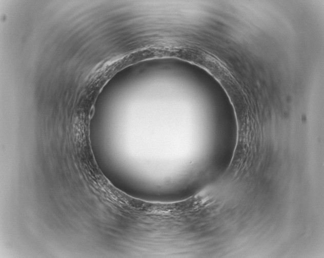 X0000088160773200705151117
