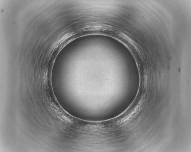 X0000088160778200705151117