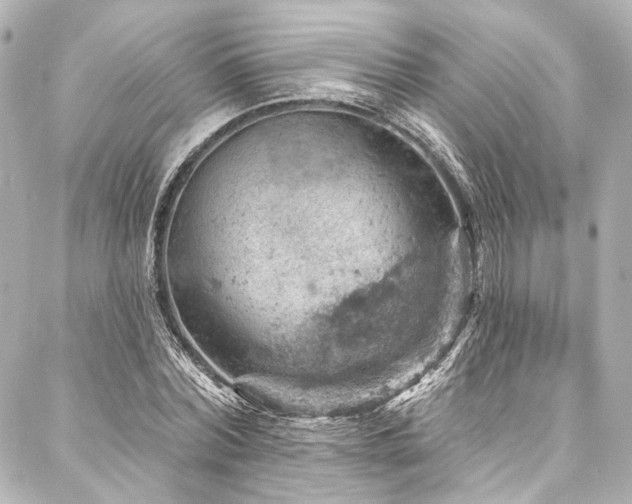X0000088160780200705151116
