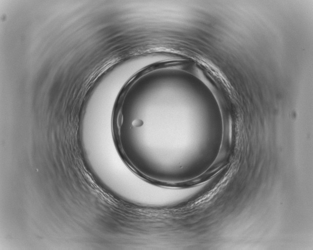 X0000088160785200705151116