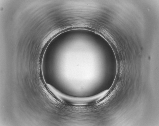 X0000088160789200705151116