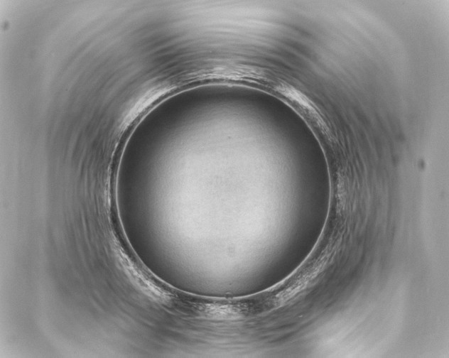 X0000088160794200705151116