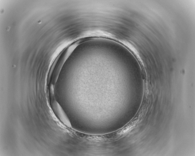 X0000088160815200705151116