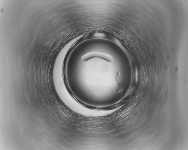 X0000088160818200705151115