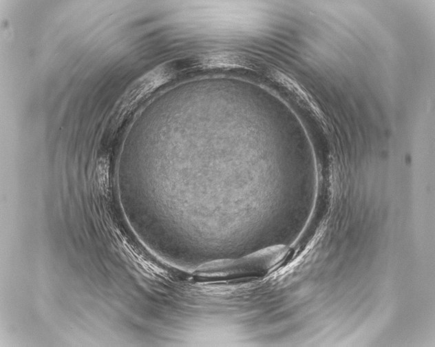 X0000088160825200705151115