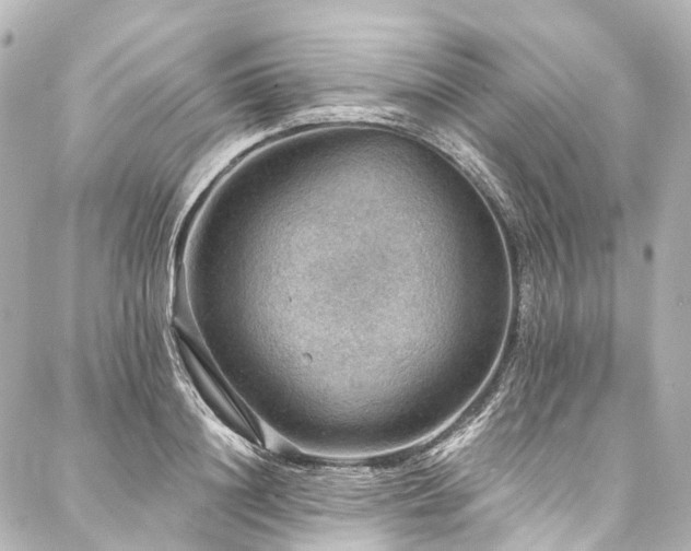 X0000088160844200705151116