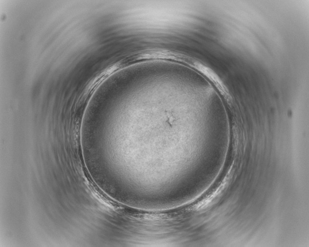 X0000088160857200705151116