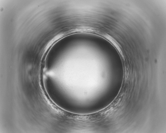 X0000088160861200705151116