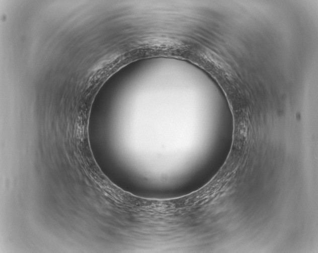 X0000088160869200705151115