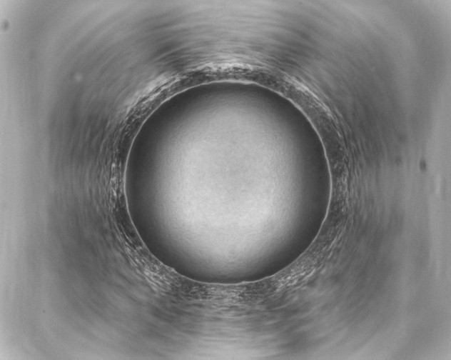 X0000088160870200705151115