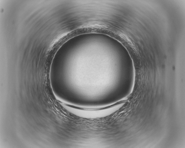 X0000088160872200705151115