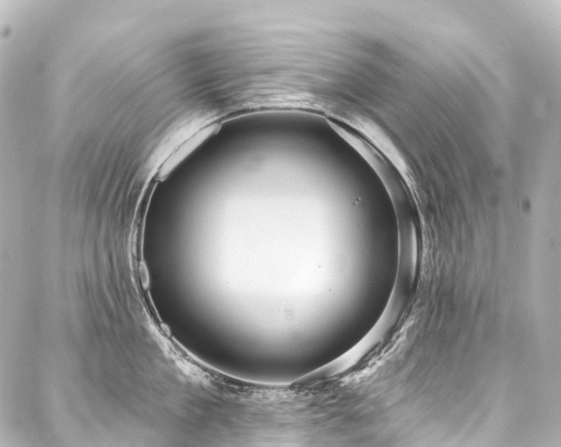 X0000088160909200705151114