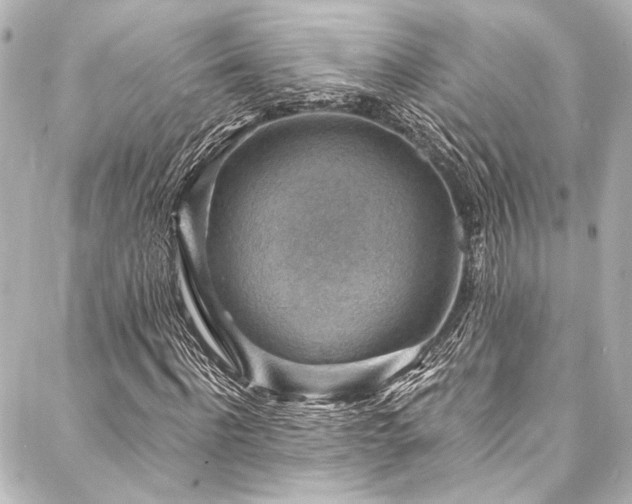 X0000088160916200705151114