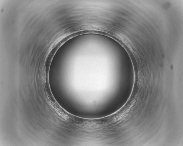 X0000088160931200705151114