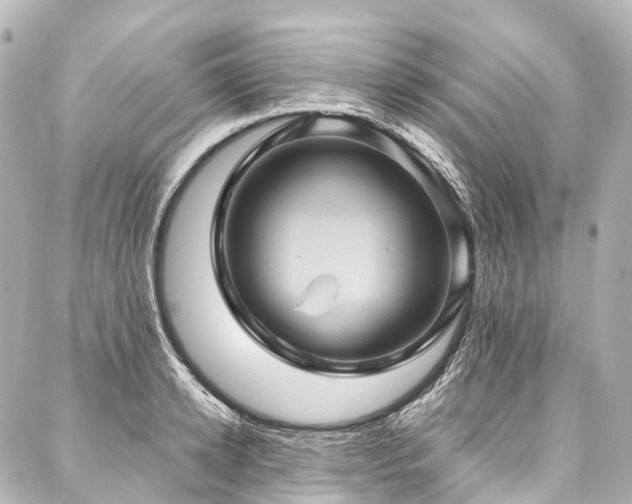 X0000088160942200705151114