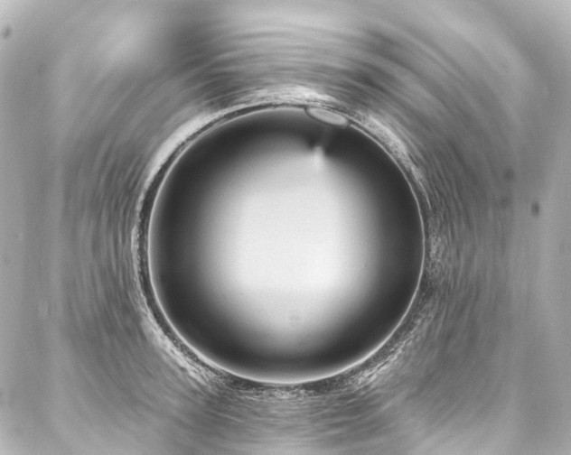 X0000088160947200705151114