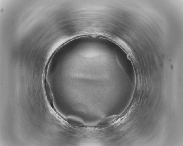 X0000088160958200705151114