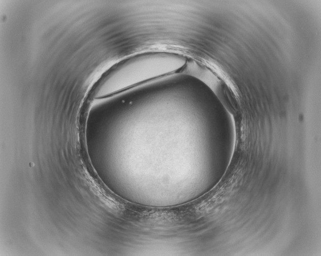X0000088160972200705151113