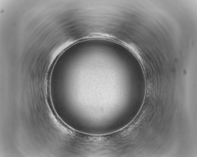 X0000088161003200705151113