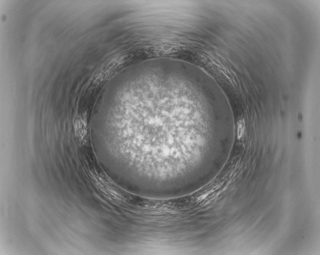 X0000088161011200705151112