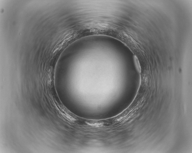 X0000088161012200705151112