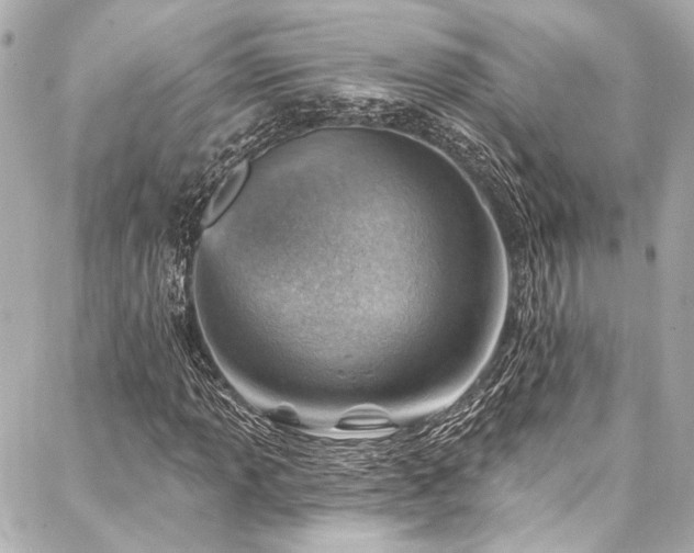 X0000088161013200705151112
