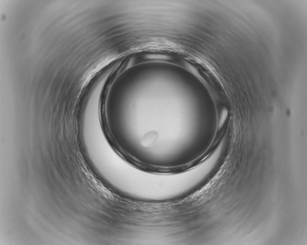 X0000088161018200705151112