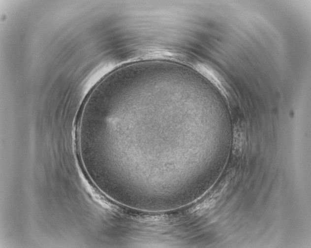 X0000088161047200705151113