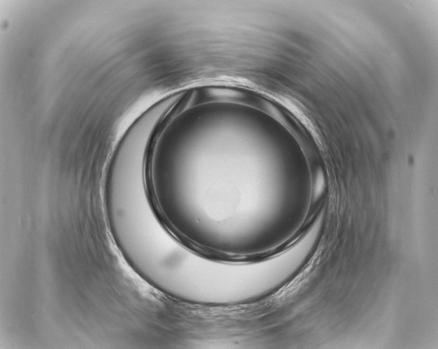 X0000088161054200705151113