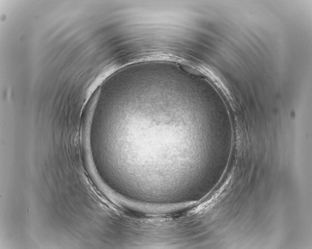 X0000088161097200705151111
