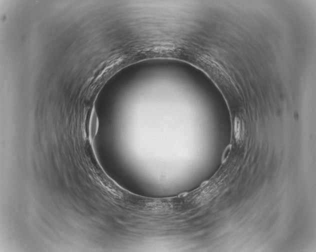 X0000088161107200705151110