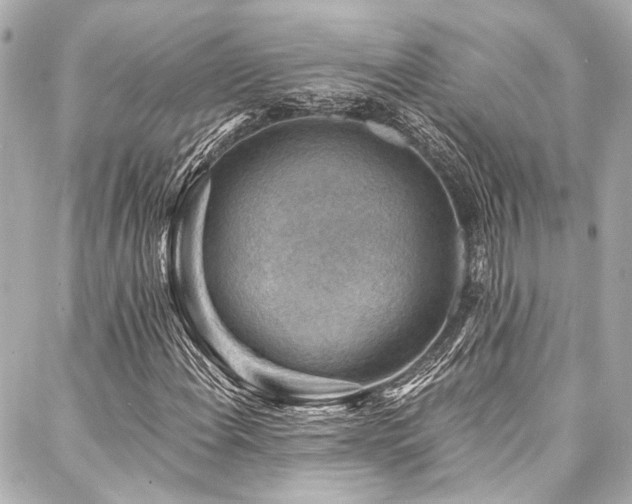 X0000088161108200705151111