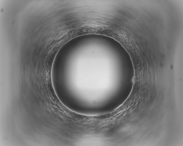 X0000088161109200705151111