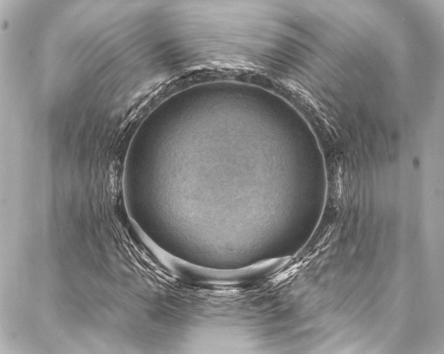 X0000088161110200705151111