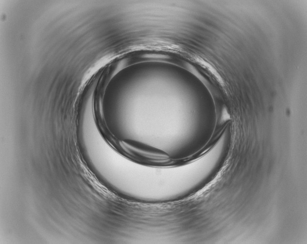 X0000088161114200705151111