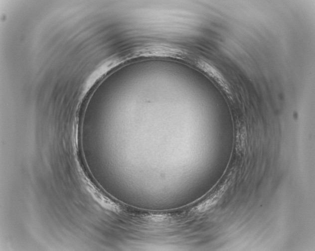 X0000088161130200705151111
