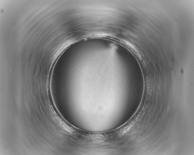 X0000088161186200705151110