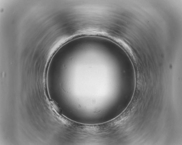 X0000088161191200705151110