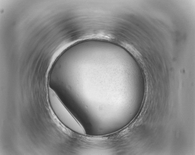 X0000088161200200705151110