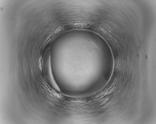 X0000088161202200705151109