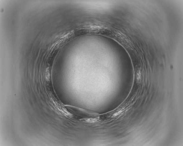 X0000088161204200705151109