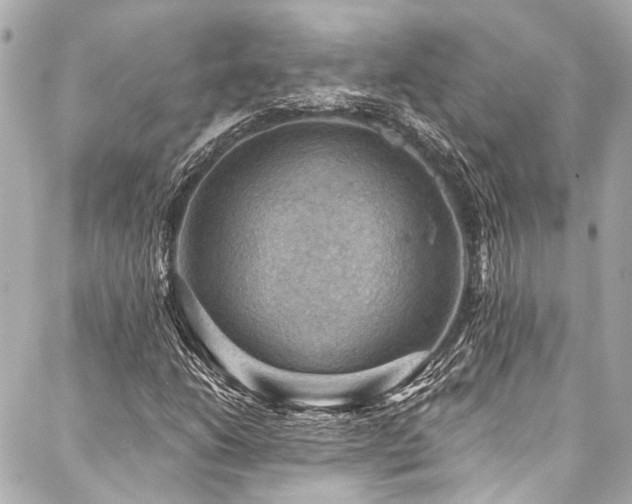 X0000088161206200705151109